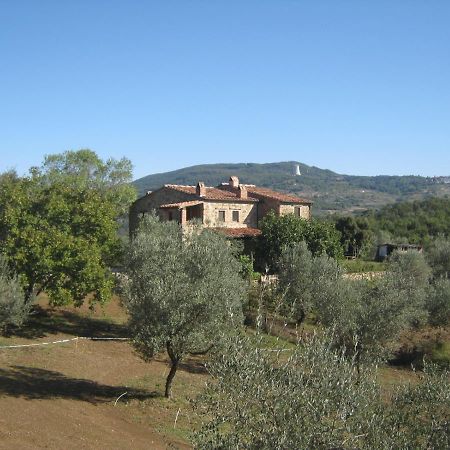 Sport Bikes And Nature Monterotondo  Екстериор снимка
